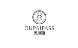 四川杰視電子科技有限公司