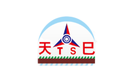 天巳集團有限公司