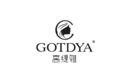 廣州高緹雅精細化工有限公司
