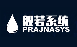 深圳般若計算機系統股份有限公司