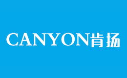 深圳奧尼電子股份有限公司