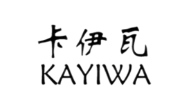 深圳市卡伊瓦機(jī)器人科技有限公司