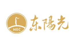 深圳市東陽光實業發展有限公司