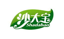 河南沙大寶食品有限公司